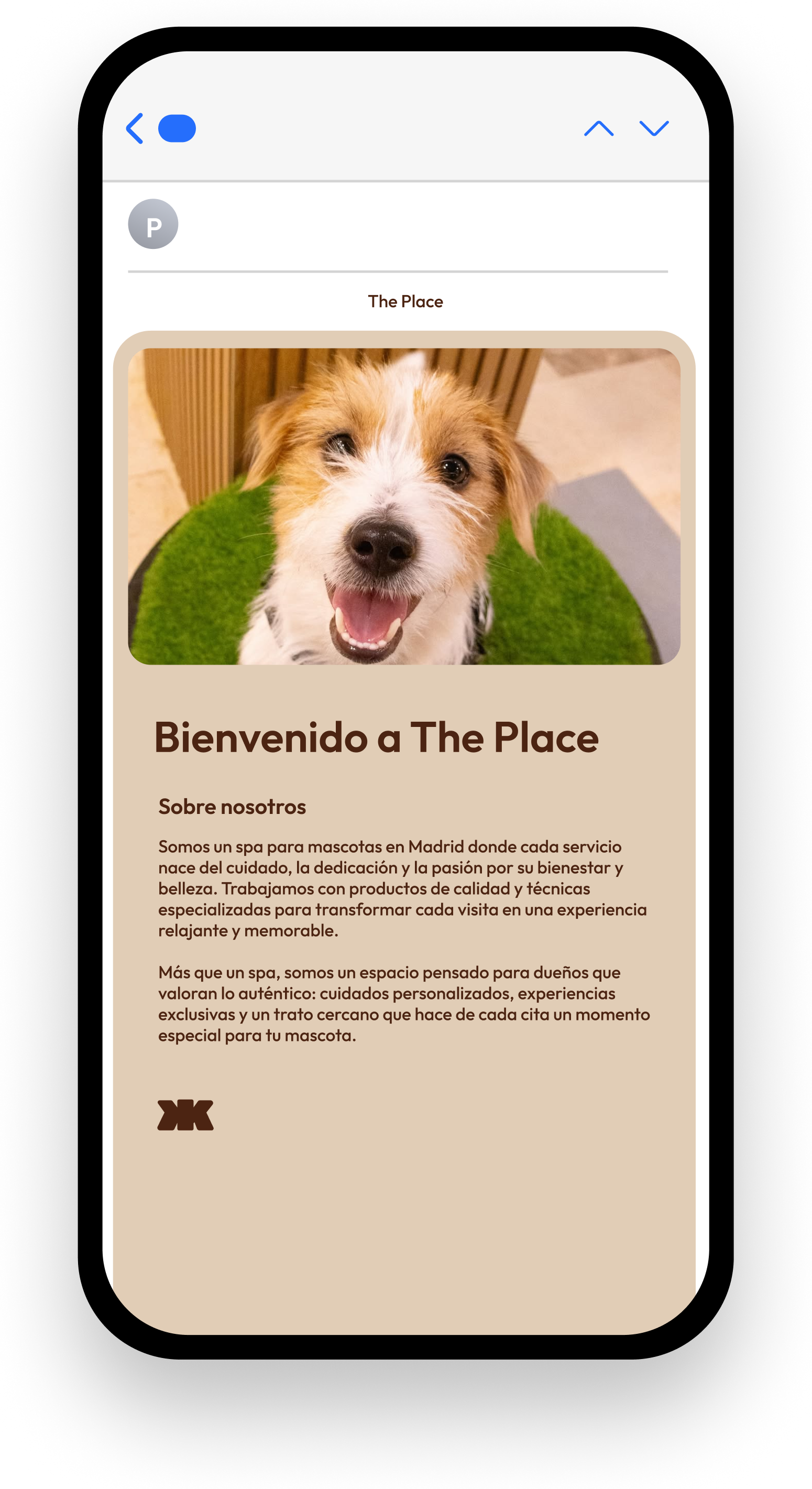 Imagen del carrusel 5